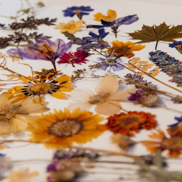 Мастер-класс «Интерьерная картина — гербарий» со скидкой 30%