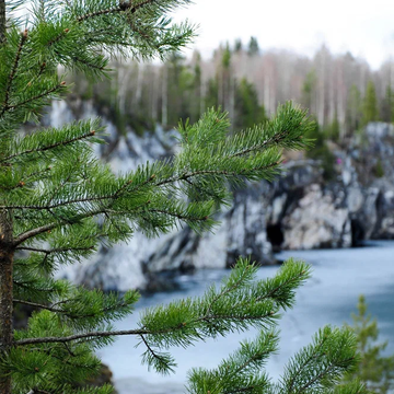 Двухдневный тур «Сафари по водопадам Карелии и парк «Рускеала» со скидкой до 47%