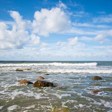 Автобусно-пешеходная экскурсия «Куршская коса и орнитологическая станция» со скидкой до 20%