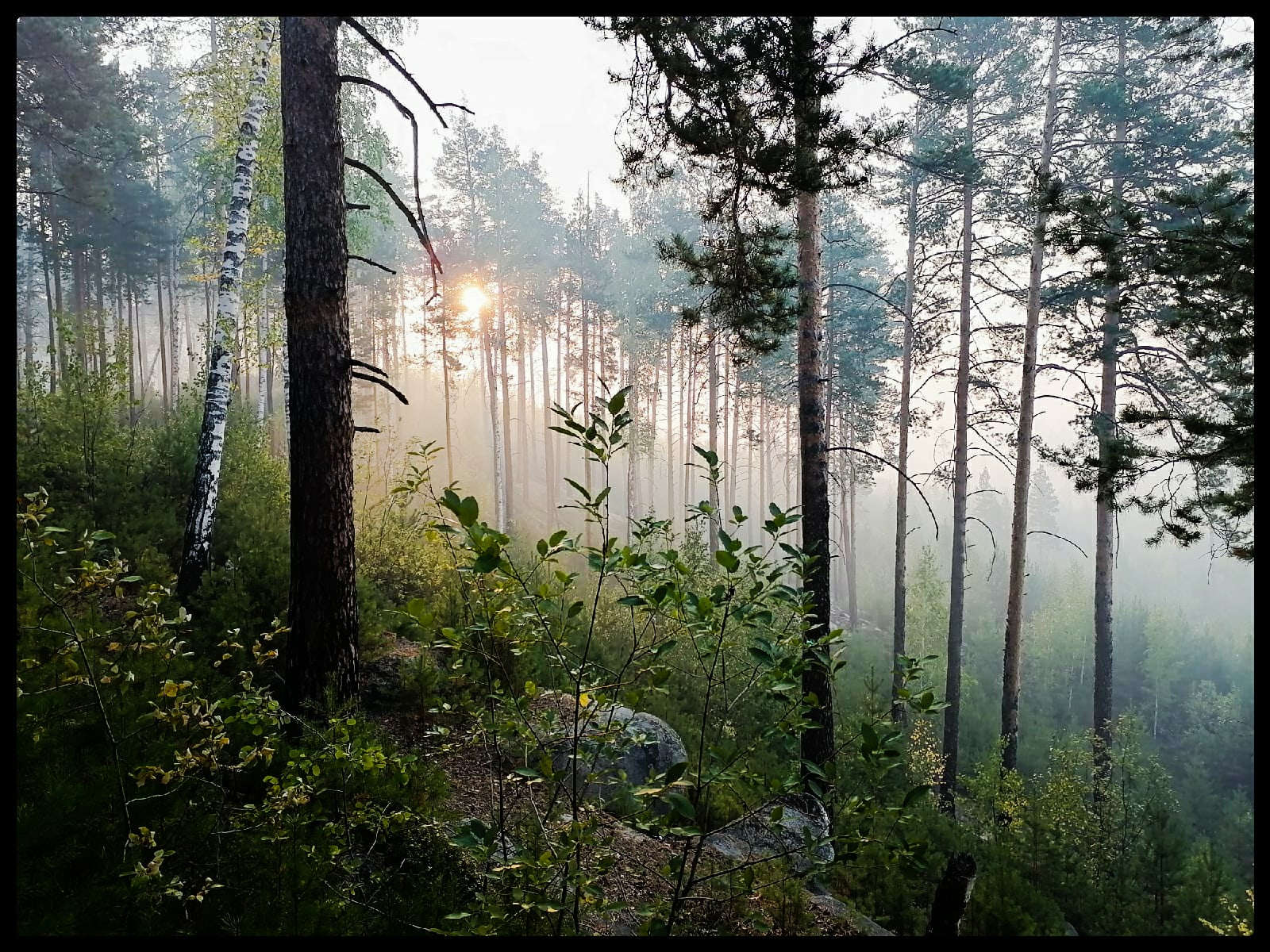 picture