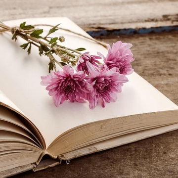 Культурное пространство «Катарсис»