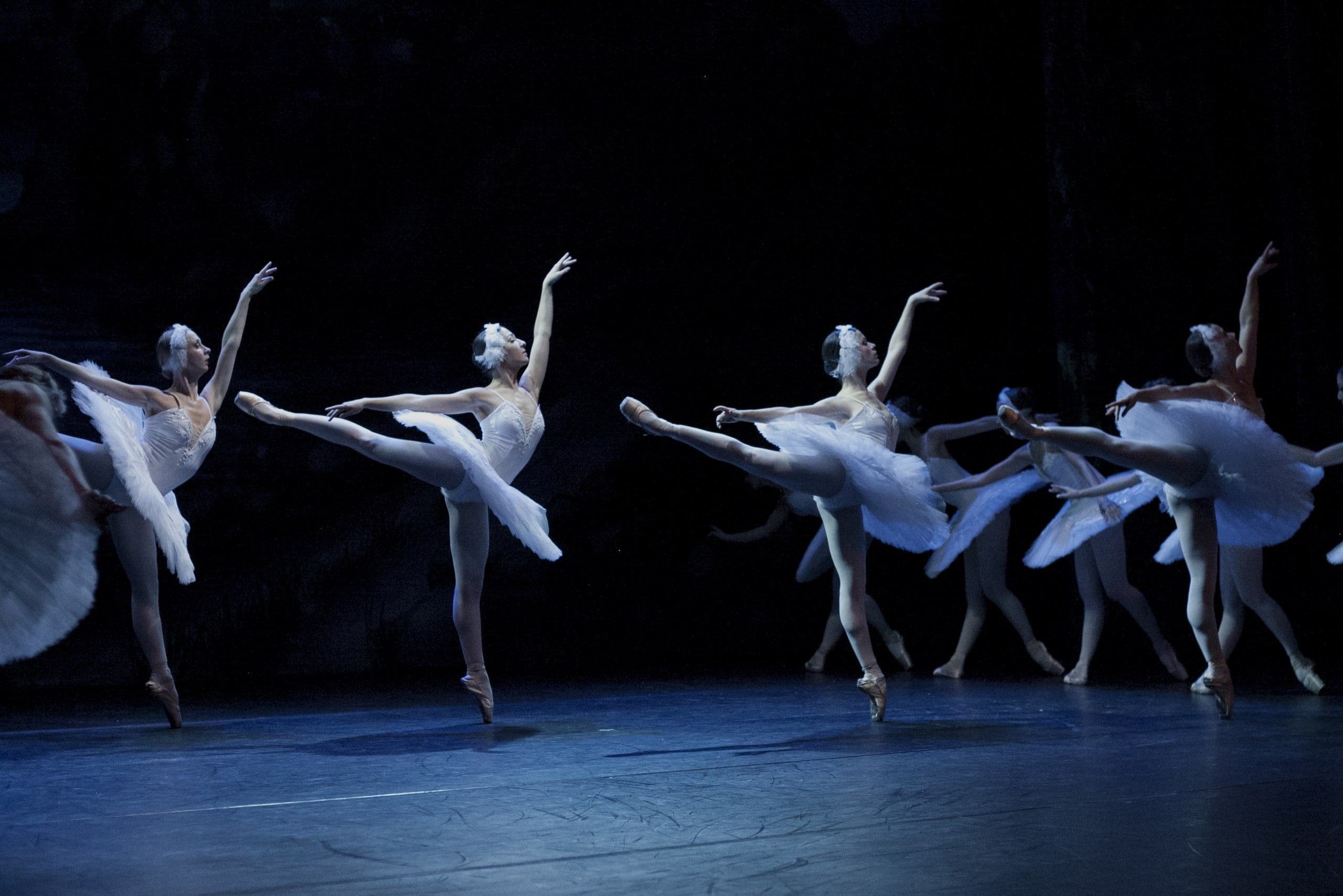 Балет «Лебединое озеро» в Эрмитажном театре со скидкой 30%