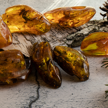 Автобусная экскурсия в Янтарный и Светлогорск с посещением производства янтаря со скидкой 20%