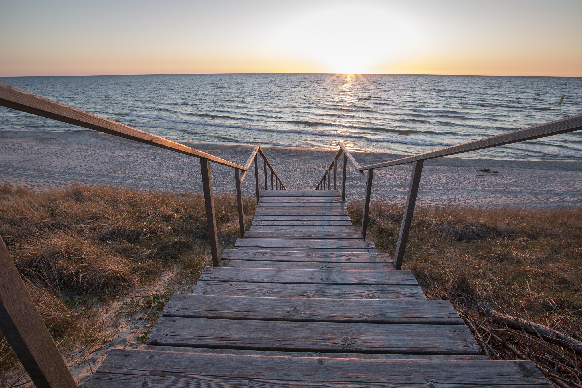 Автобусная экскурсия на Куршскую косу из Зеленоградска