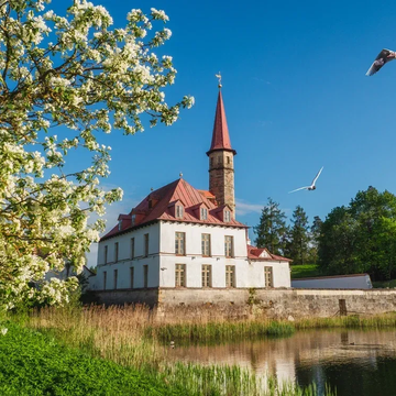 Экскурсия «Гатчина. Два дворца: Большой и Приоратский» со скидкой до 65%