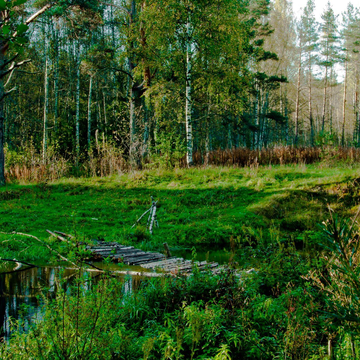 Село Молоди