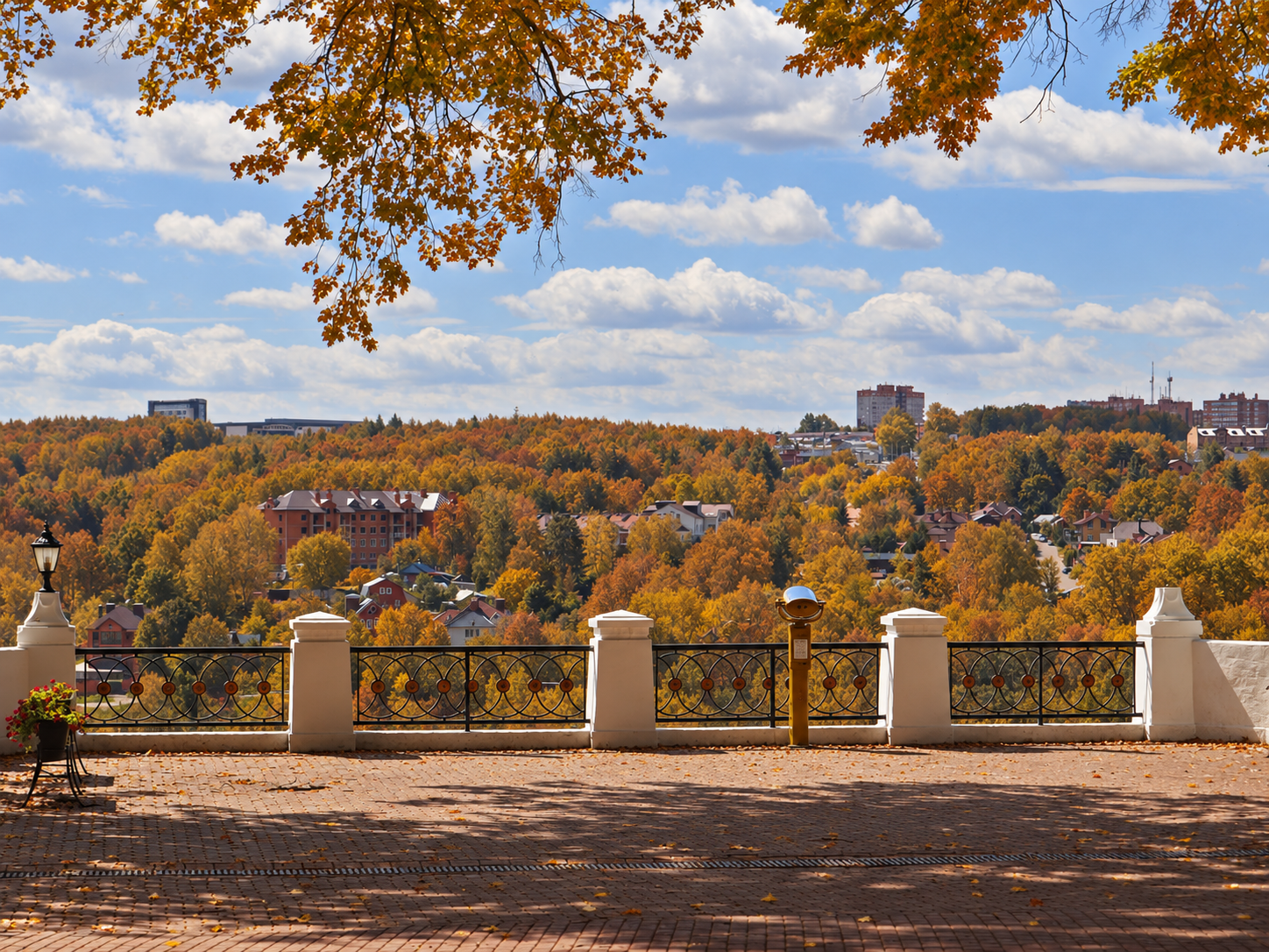 picture