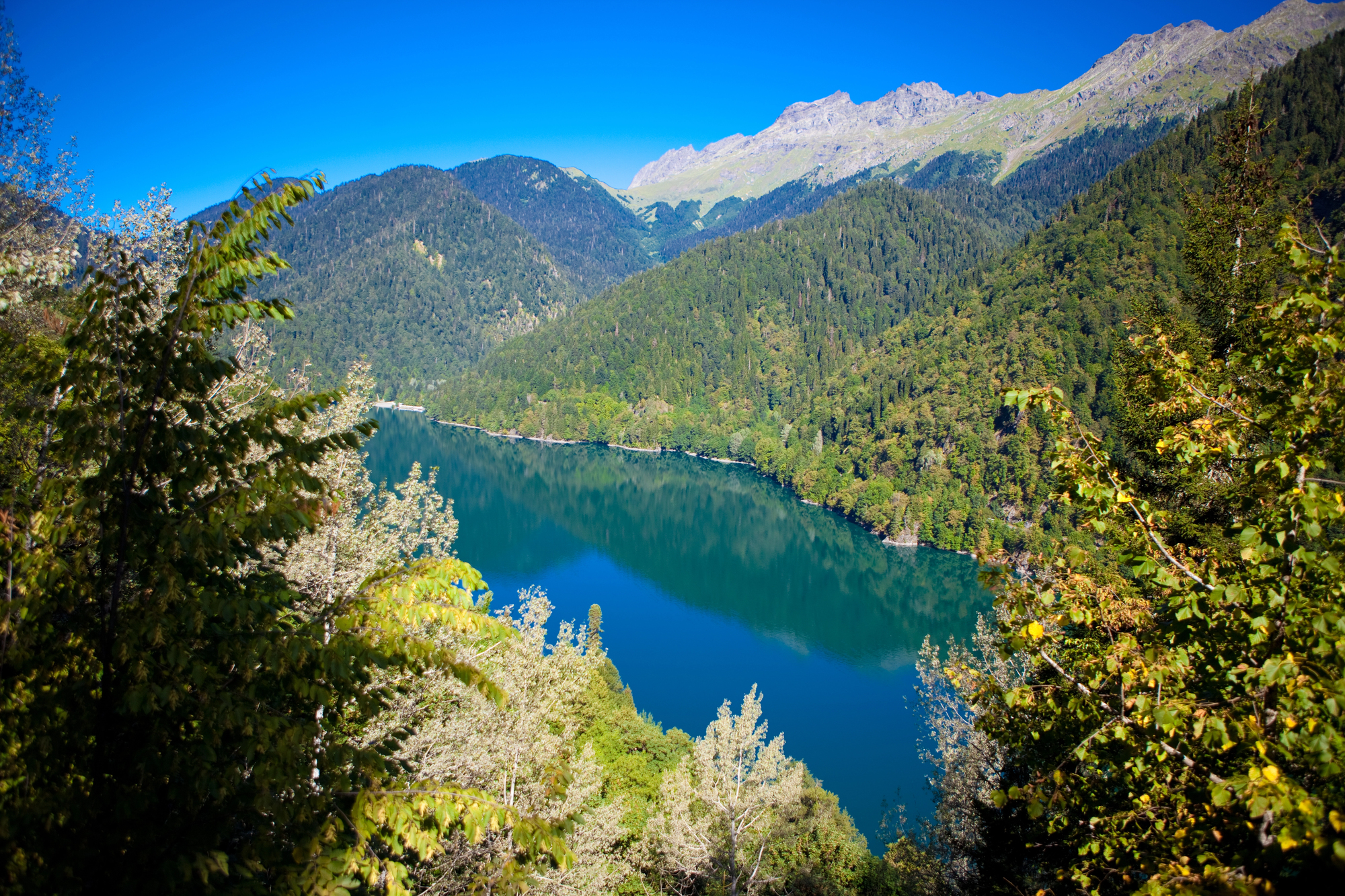 Автобусная экскурсия «Абхазия – Золотое кольцо. Гагры, Рица, Афон» со скидкой до 35%