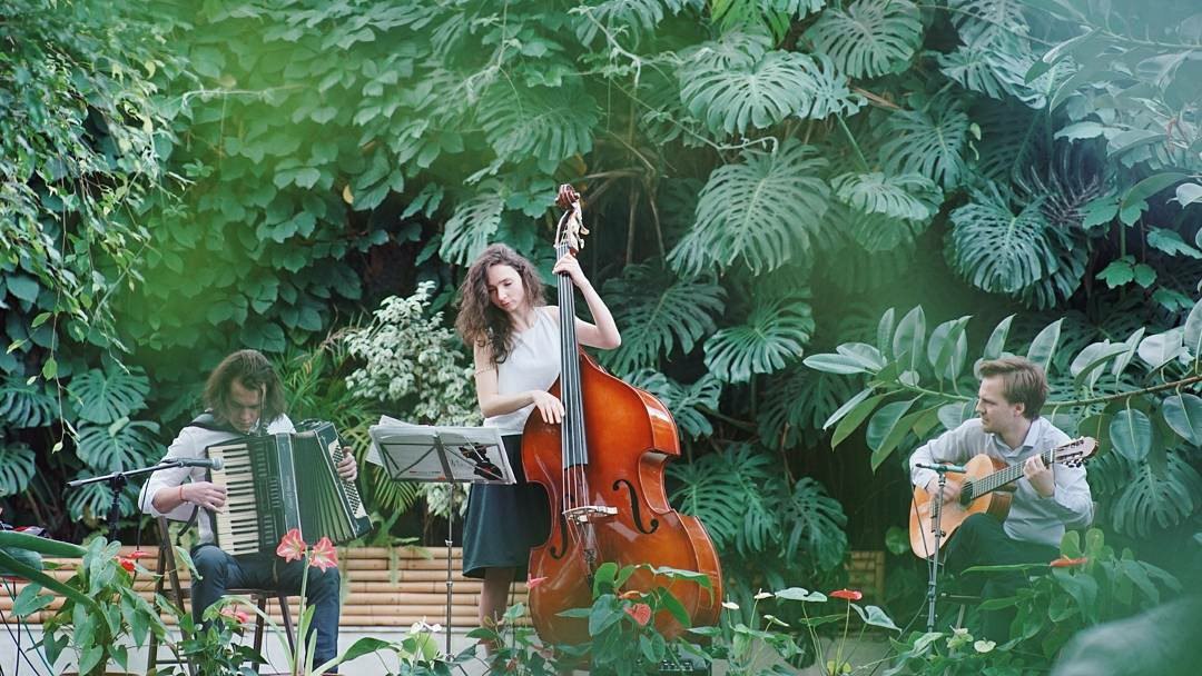 picture