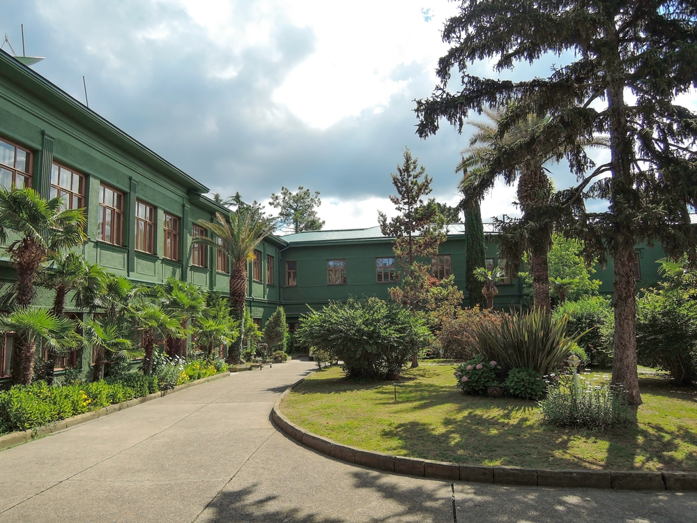 Дача Сталина в Сочи