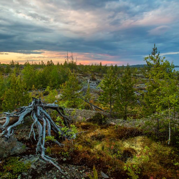 Двухдневный тур «Карельское вдохновение: Валаам, Рускеала и Ладожские шхеры» со скидкой 32%