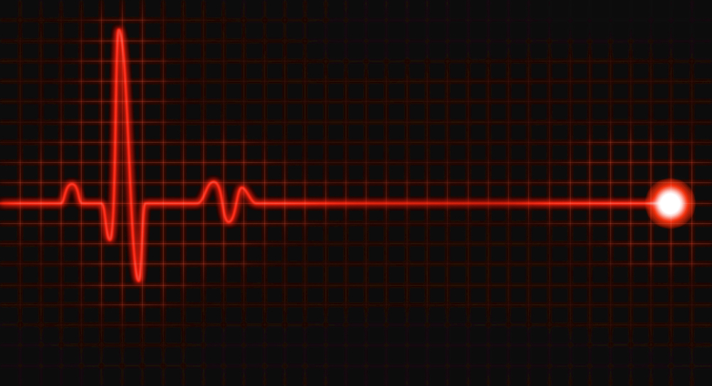 Спектакль «В ожидании сердца» Спектакль «В ожидании сердца» со скидкой 20%