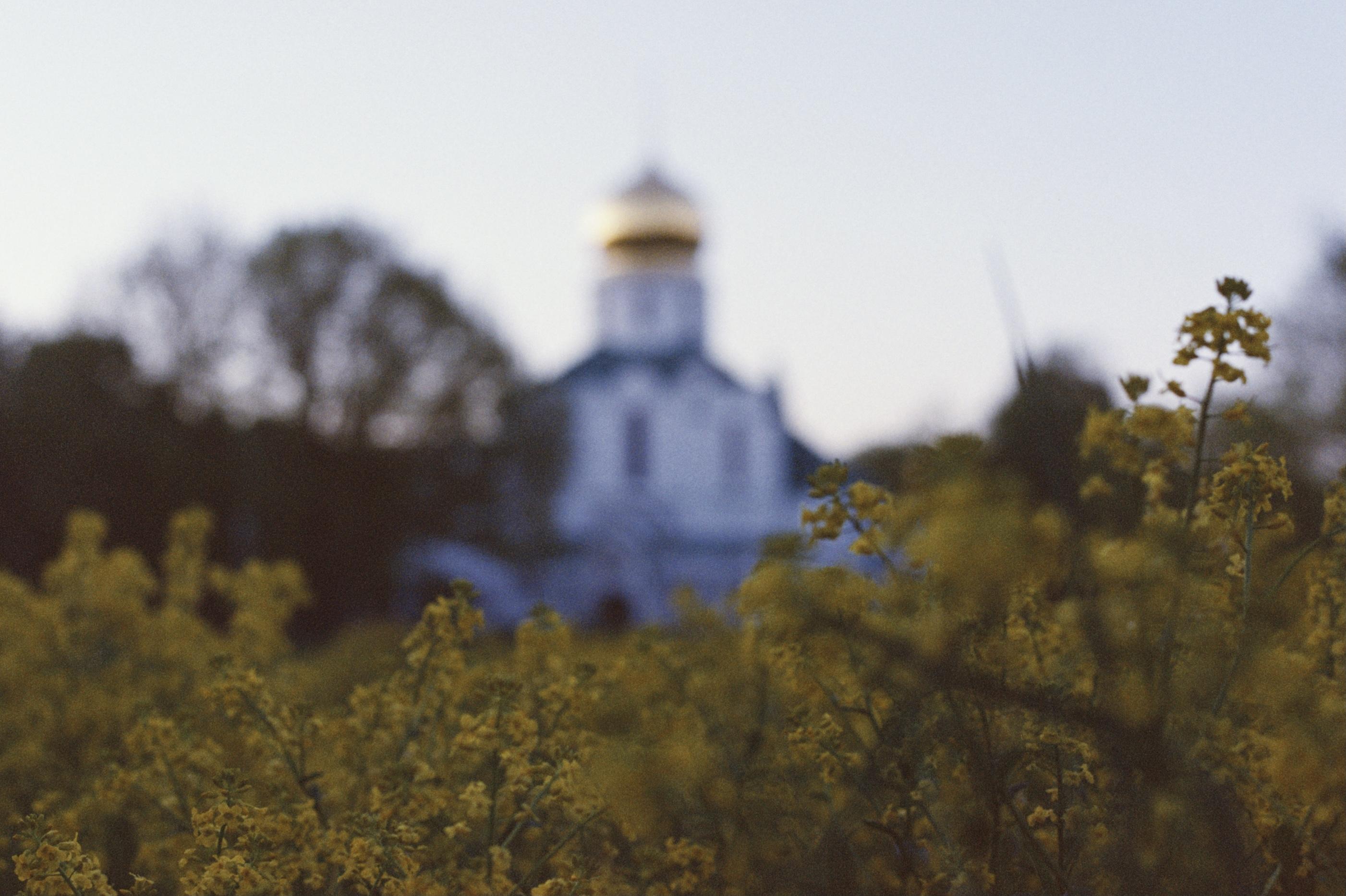 Необычные достопримечательности в Царском селе в 2026