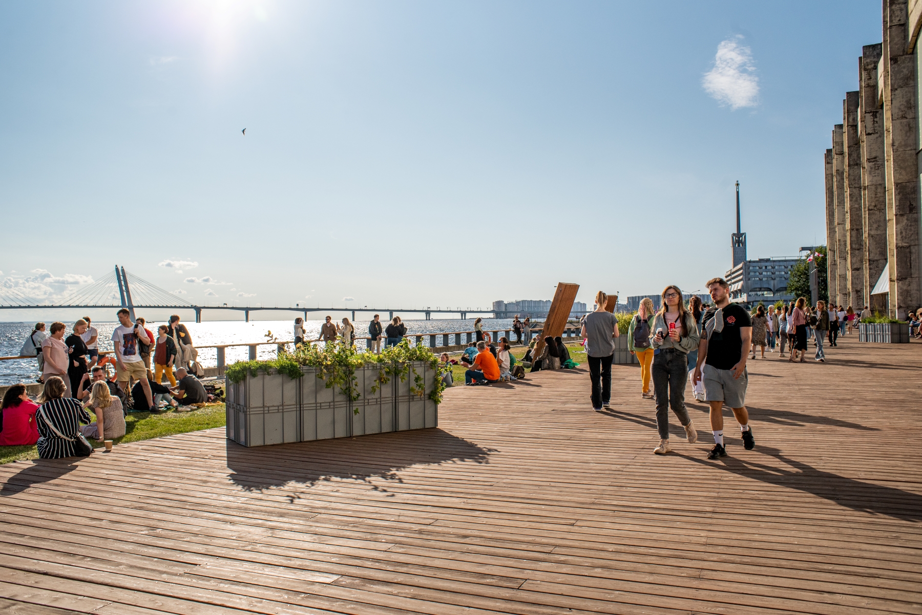 Севкабель Порт