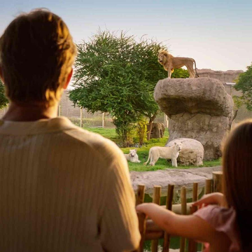 Зоопарк Dubai Safari Park по тарифу Explorer из Рас-эль-Хаймы