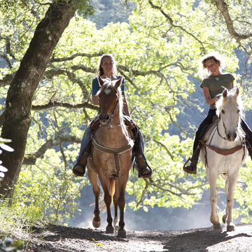 Конный клуб «Гвардия»