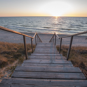 Автобусная экскурсия на Куршскую косу из Зеленоградска