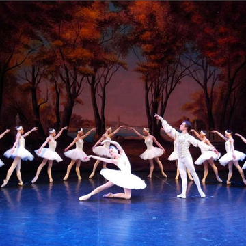 Детский балет «Лебединое озеро» со скидкой 30%