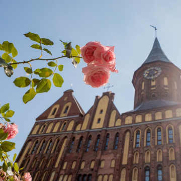 Обзорная экскурсия по Калининграду на автобусе со скидкой 20%