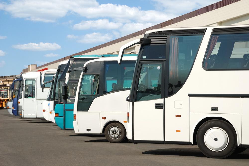 Из Петербурга запустят автобусы в Геленджик и Симферополь