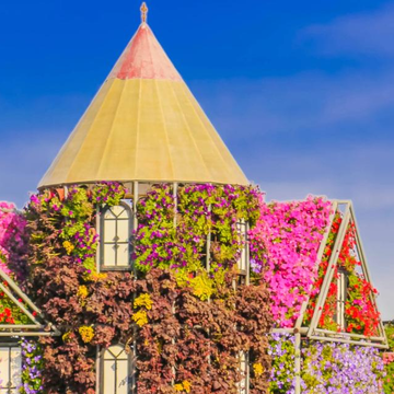 Парк цветов Miracle Garden и ярмарка Global Village