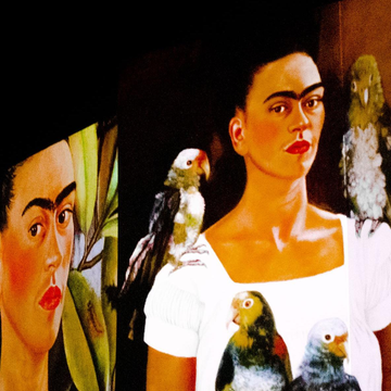 Мультимедийная выставка «Фрида Кало. Несломленная» в пространстве «Люмьер-Холл»