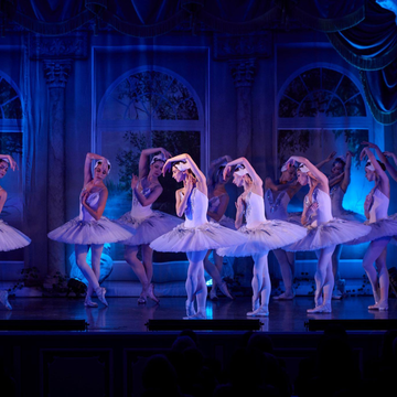 Балет «Лебединое озеро» в Эрмитажном театре со скидкой 20%