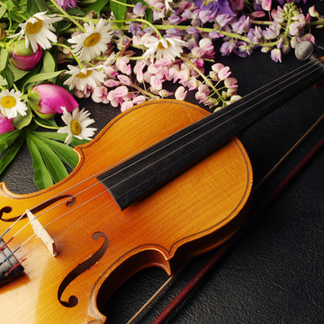 Концерт «Романсы и не только» со скидкой 20%