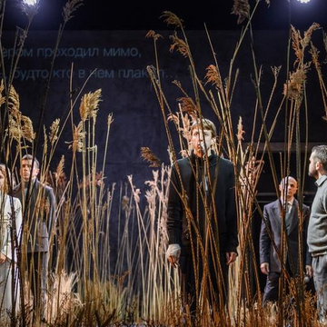 Спектакль «Чайка» на Новой сцене Александринского театра