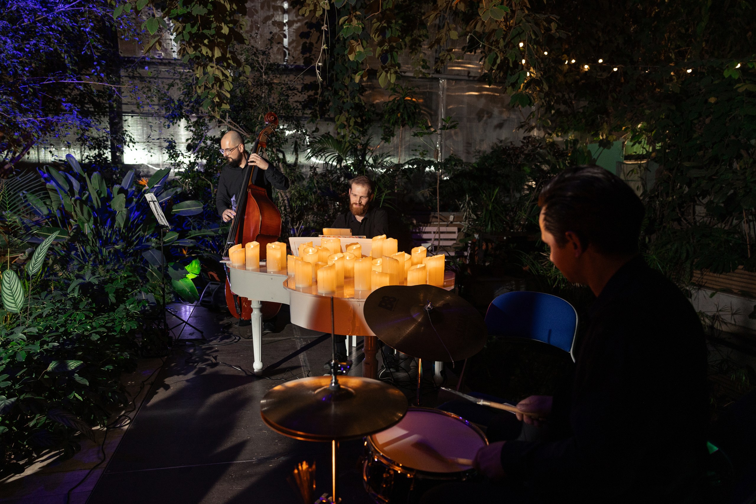 Концерт при свечах «Лаунж-джаз» в Оранжерее Таврического сада со скидкой до 40%