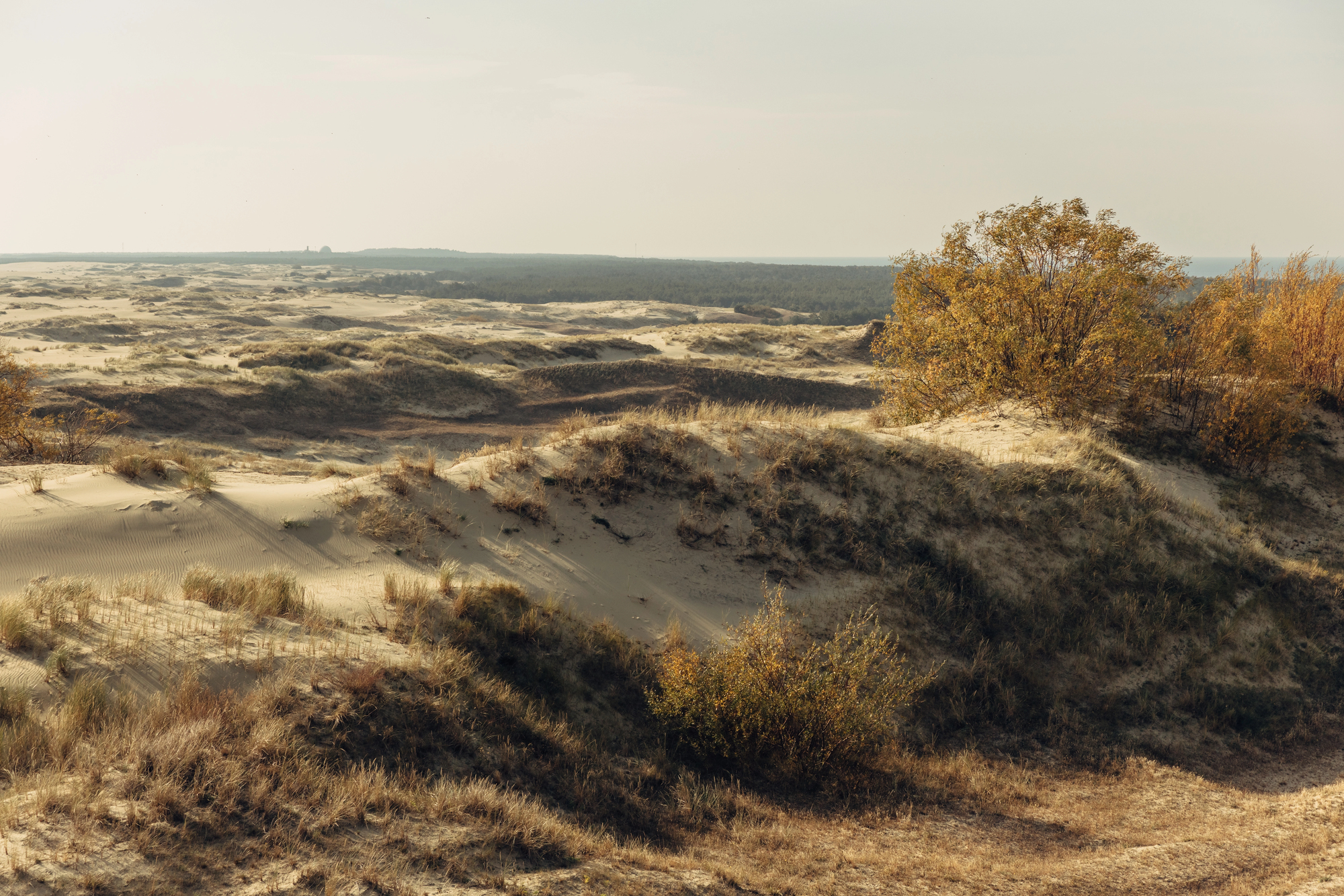 Автобусно-пешеходная экскурсия «Путешествие на Куршскую косу» со скидкой 20%