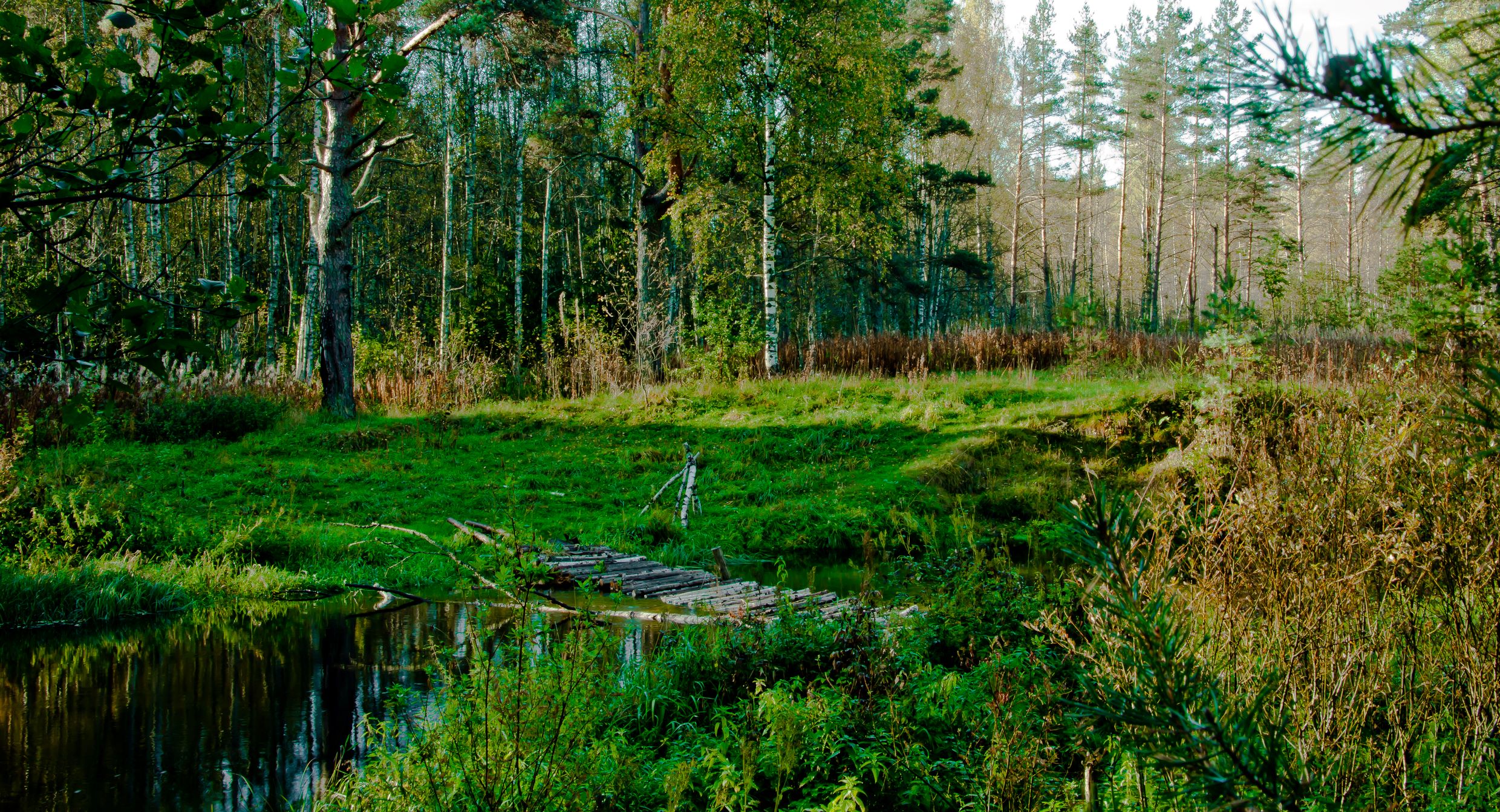 Село Молоди