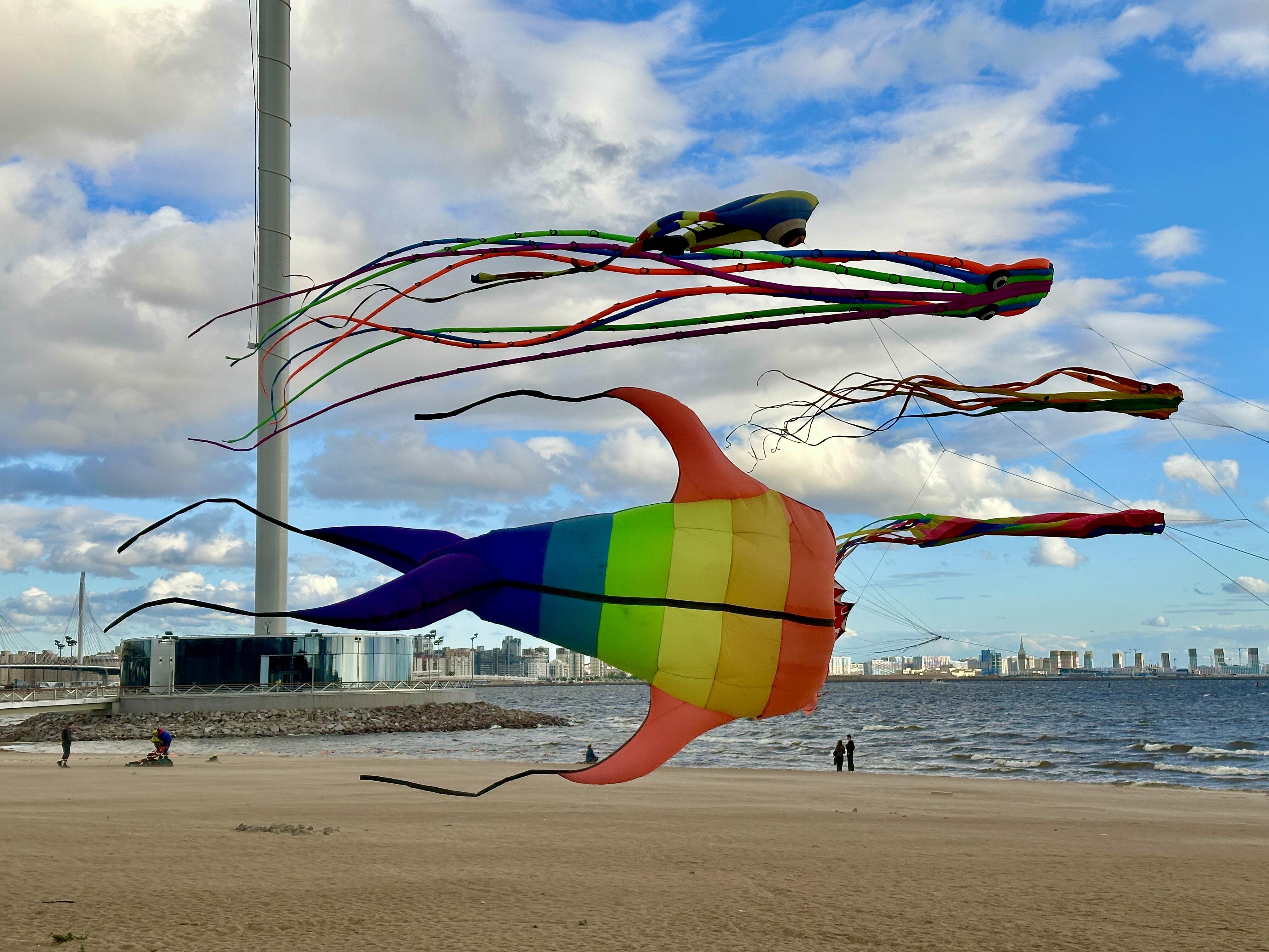 До конца лета: 5 идей для отдыха с детьми в Петербурге