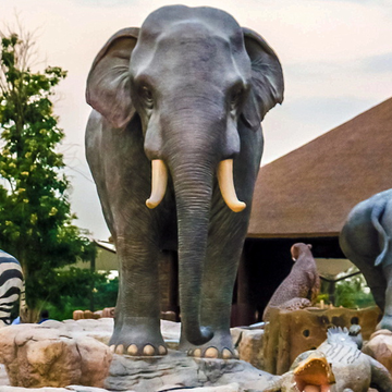 Зоопарк Dubai Safari Park по тарифу Explorer из Шарджи