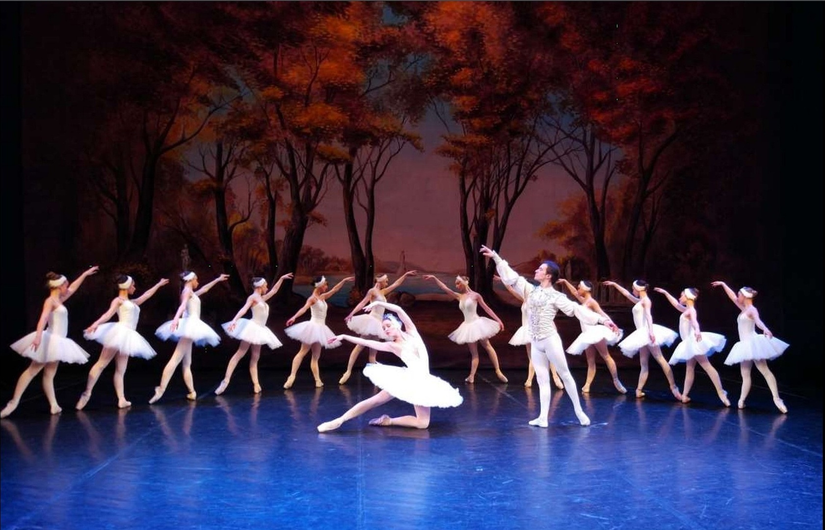 Детский балет «Лебединое озеро» со скидкой 30%