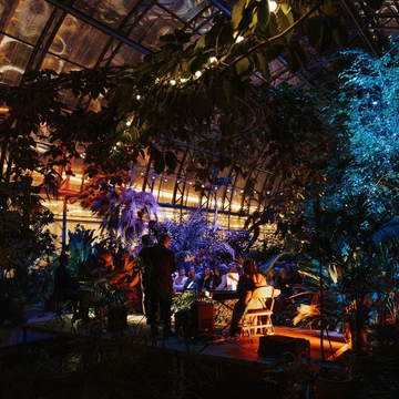 Концерт при свечах «ZAZ-трибьют» в Оранжерее Таврического сада со скидкой до 50%