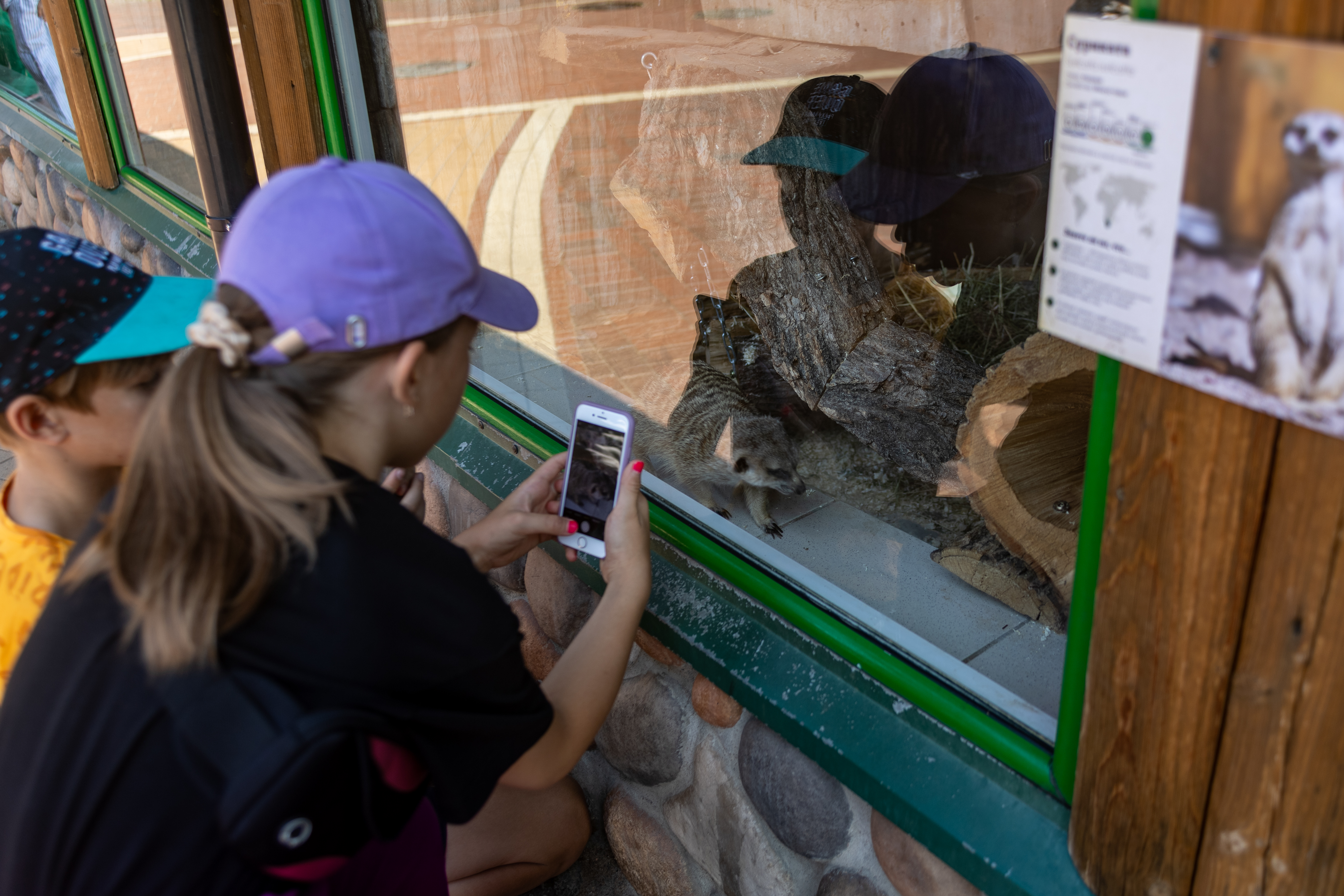 5 эпох Ленинградского зоопарка: история старейшего зверинца России