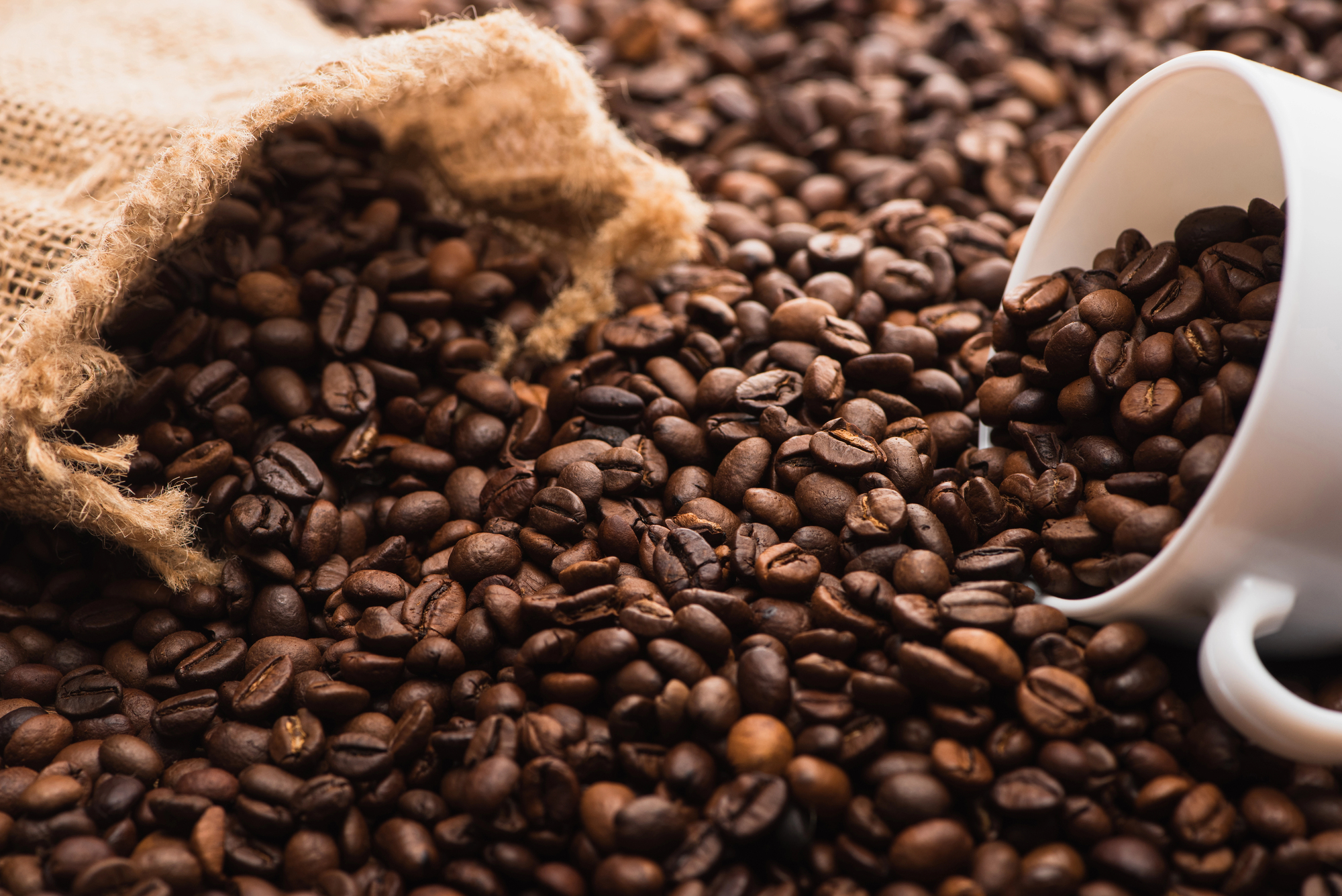 Кофейное производство FORCUP ROASTERS