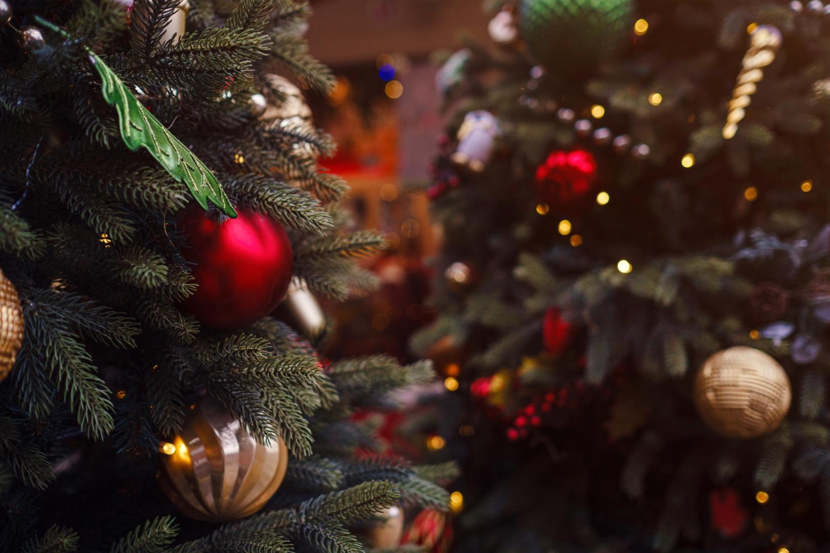 Куда сдать елку на переработку в Петербурге и Москве в 2026