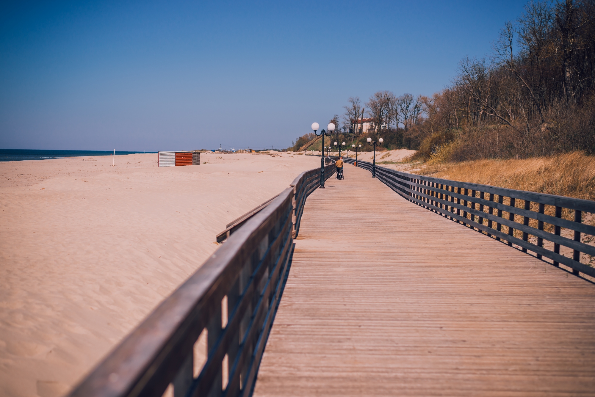 Автобусно-пешеходная экскурсия на Куршскую косу, в Зеленоградск и сыроварню Шаакендорф с дегустацией в мини-группе со скидкой 20%