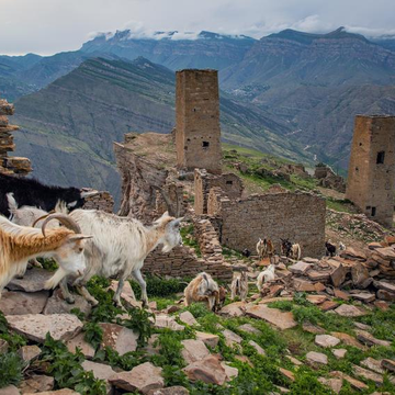 Автобусная экскурсия «Страна башен: Гоор и Карадахская теснина» с прогулкой на джипах из Махачкалы со скидкой 20%