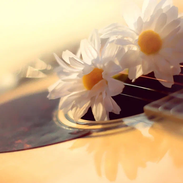 Концерт «Солнце поёт о любви» со скидкой 30%