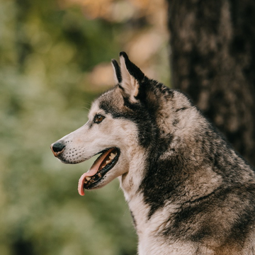 Отдых на природе: от рыбалки до трекинга