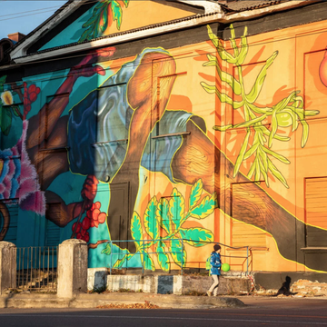 Пешеходная экскурсия «Мурманские муралы: Район Роста» со скидкой 20%