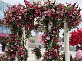 Фестиваль «Московская весна»: программа в 2026 году