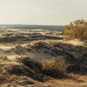 Автобусно-пешеходная экскурсия «Путешествие на Куршскую косу» со скидкой 20%