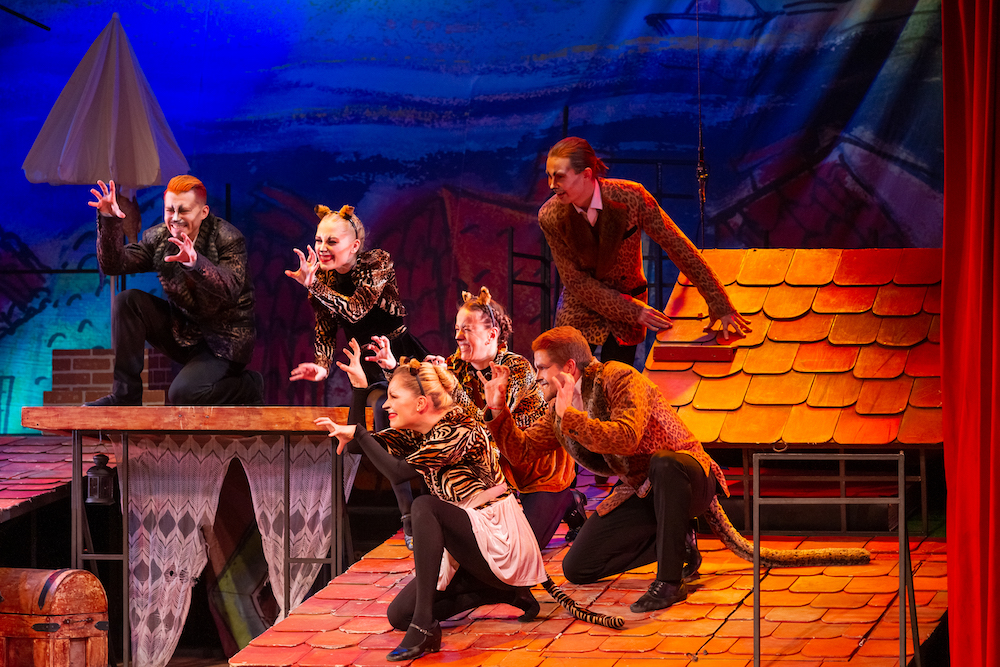 Мюзикл «Мама-Кот» в Театре эстрады им. Аркадия Райкина