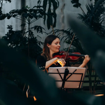 Концерты в Оранжерее Таврического сада со скидками до 50%