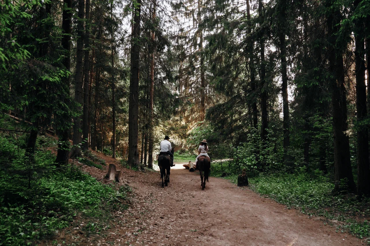 Семейная прогулка на лошадях по лесу
