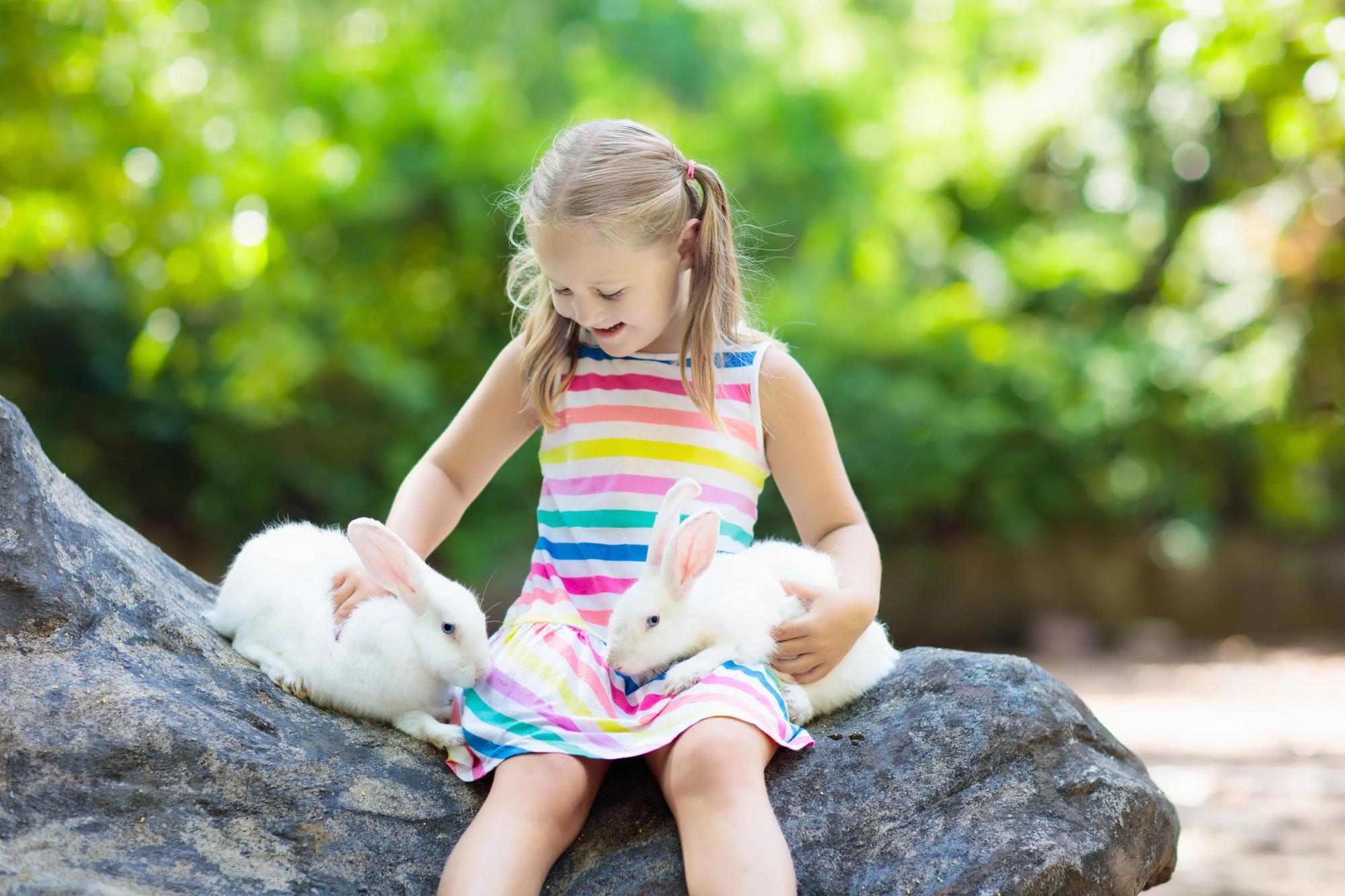 Контактные зоопарки: 6 мест в Санкт-Петербурге и Ленинградской области